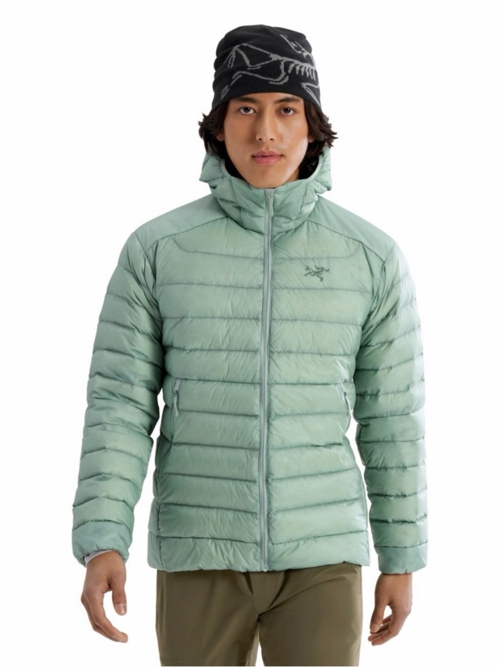 Arc'teryx Jacket Cerium Hoody Light Green